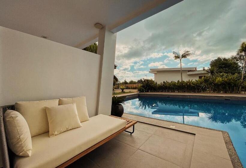 اتاق استاندارد با چشمانداز استخر, Molly Resort Bohol