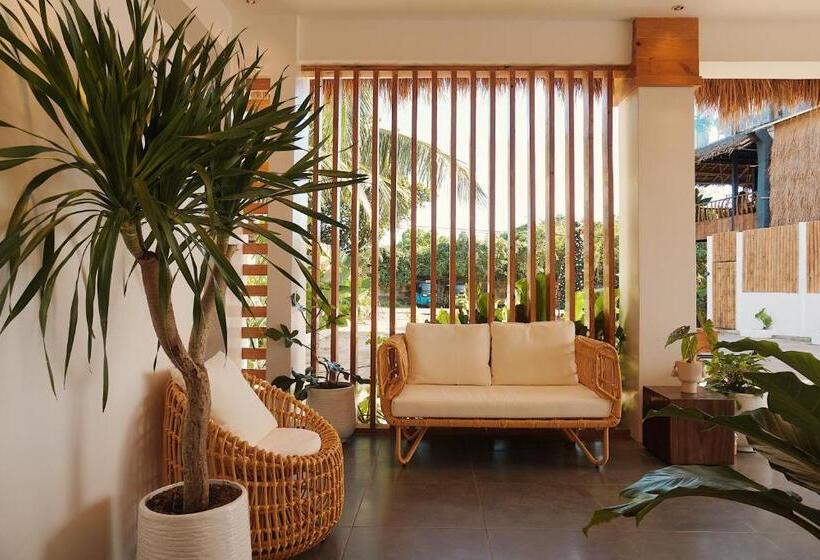 اتاق لوکس, Molly Resort Bohol