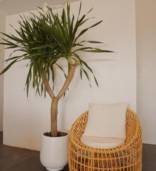 اتاق لوکس خانوادگی, Molly Resort Bohol