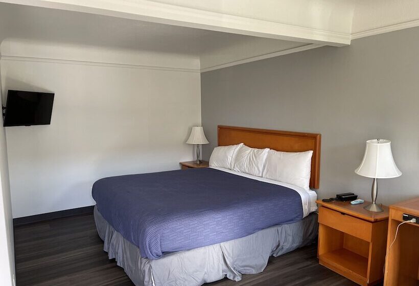 غرفة قياسية فردية, Holiday Motel