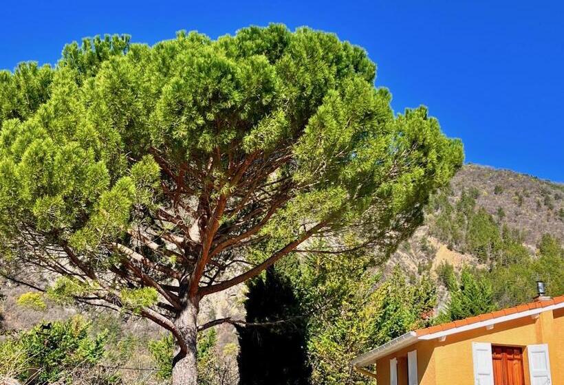 اتاق استاندارد اینتریور, Chambres D Hôtes Le Pin Des Arches