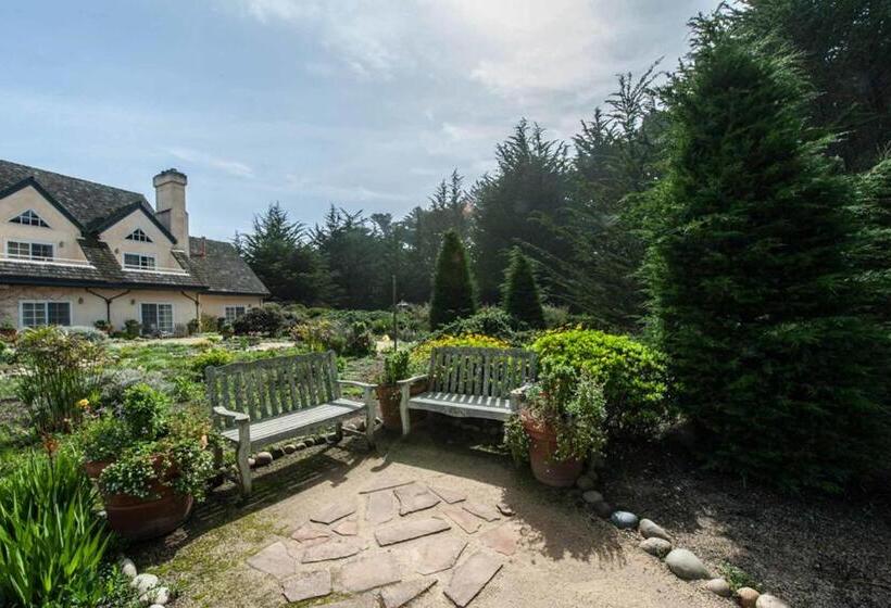 غرفة قياسية سرير كينج, Seal Cove Inn