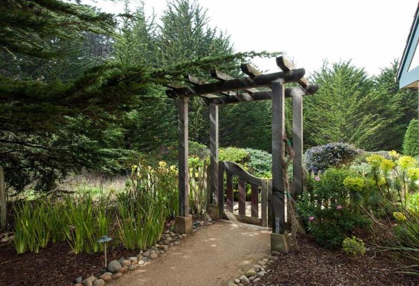 장애인을 위한 킹사이즈 침대 스탠다드 룸, Seal Cove Inn