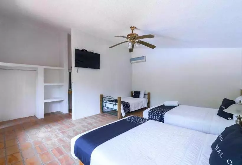 ファミリールーム, Cotlamani Hotel Aventura
