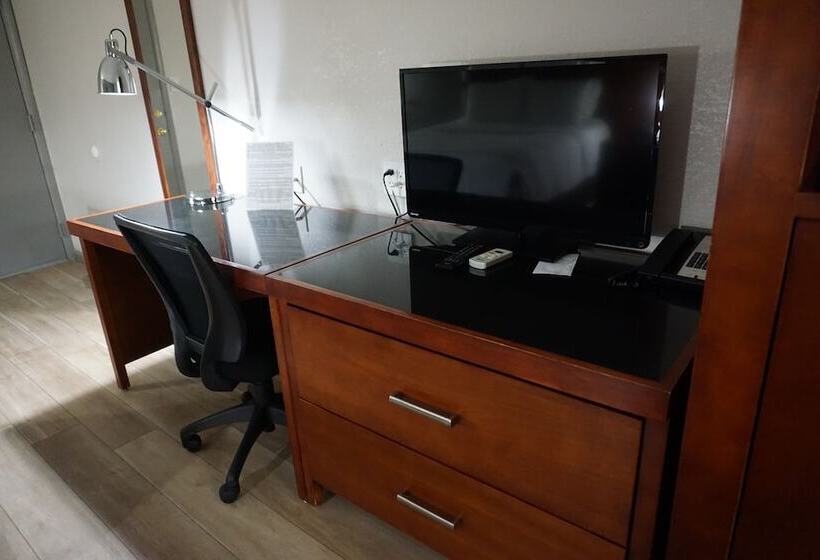 غرفه قياسيه سريرين مزدوجين, Harvest Drive Family Inn  Renovated Rooms