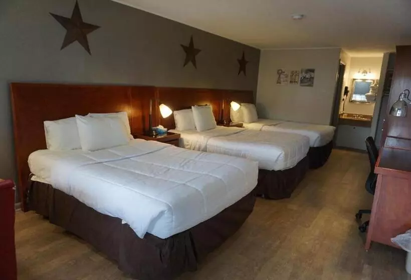 スタンダードルーム, Harvest Drive Family Inn  Renovated Rooms