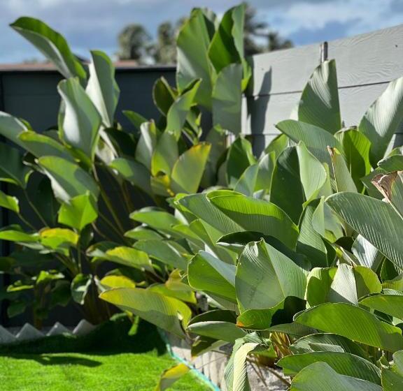 스탠다드 룸 킹사이즈 침대, Found Mansion