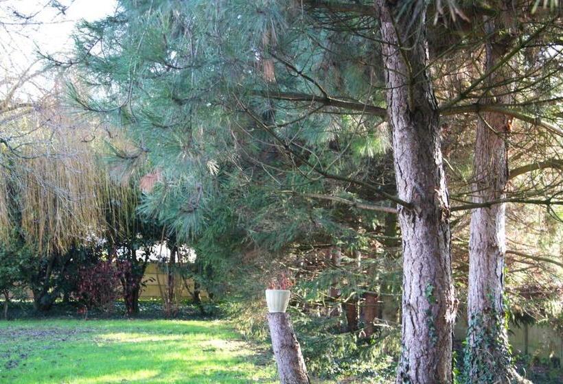 家庭套房, Maison Mama Neko