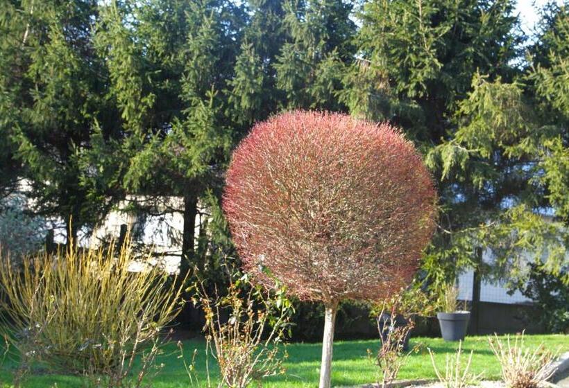 标准间, Maison Mama Neko