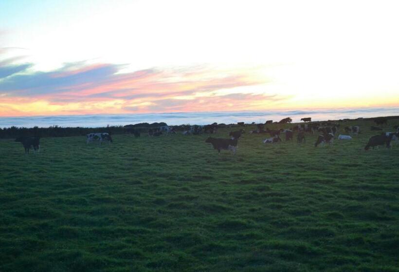 キングサイズベッドのデラックスルーム, Family Run Farm B&b