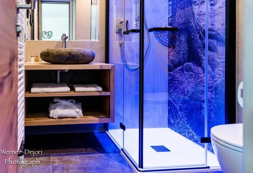 اتاق استاندارد با بالکن, Garni Residence Soraiser