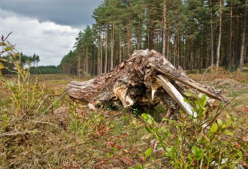 一居室别墅, Agroturystyka Sominy Piotr