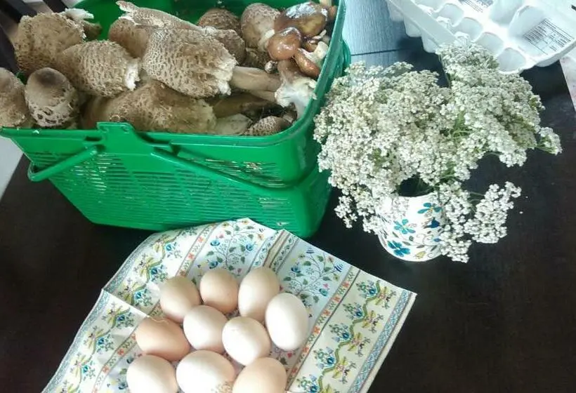 シャレー1寝室, Agroturystyka Sominy Piotr