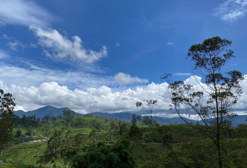 Вилла 3 Спальни, La Casa Lindula