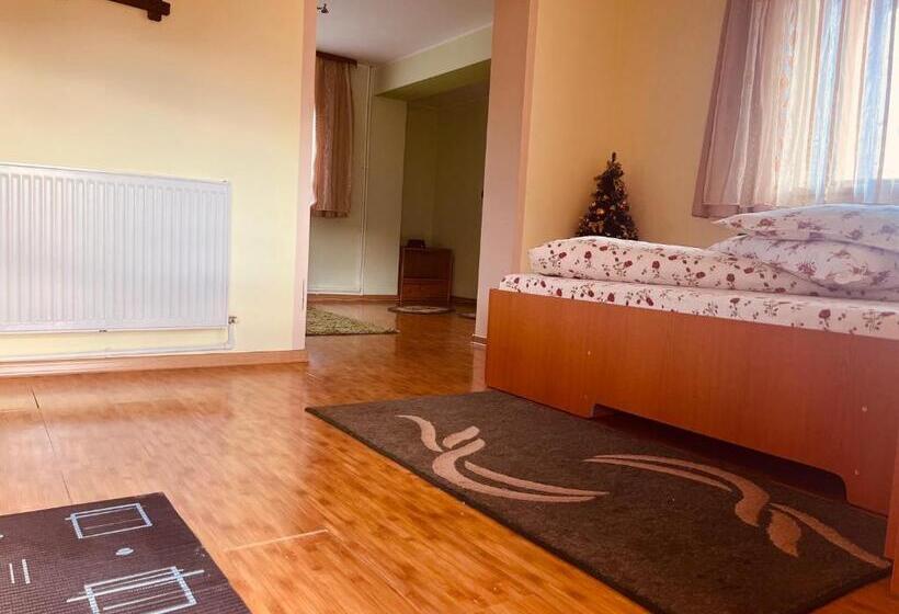 스탠다드 룸, Casa Boico