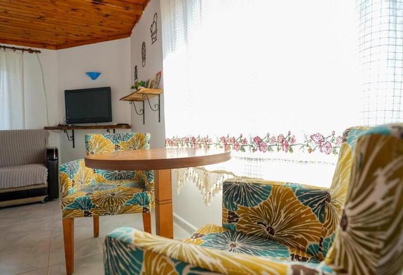 חדר דלוקס לשלושה, Ornek Motel