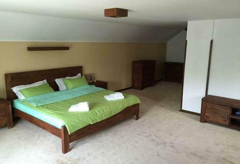 Номер Стандарт, Conacul Dascalu