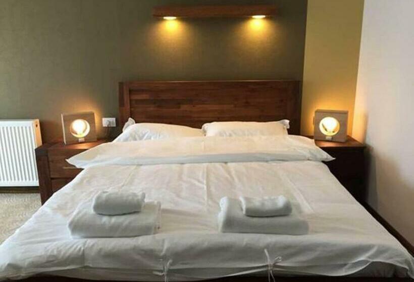 Номер Стандарт, Conacul Dascalu