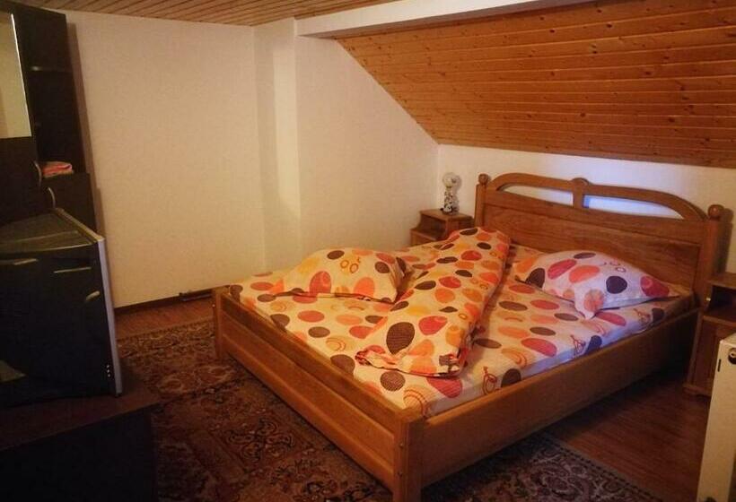 スタンダードルーム, Pensiunea Remus