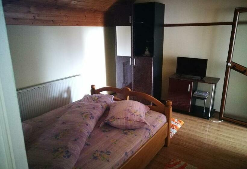 スタンダードルーム, Pensiunea Remus