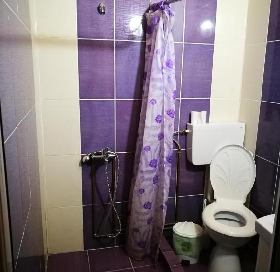 スタンダードルーム, Pensiunea Remus