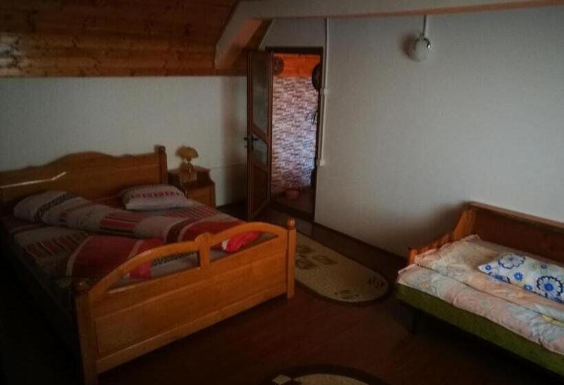 スタンダードトリプルルーム, Pensiunea Remus