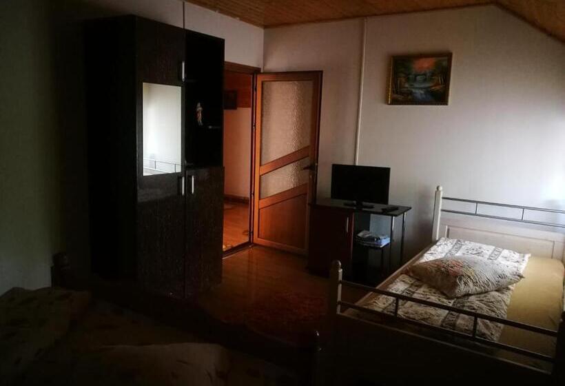 スタンダードトリプルルーム, Pensiunea Remus