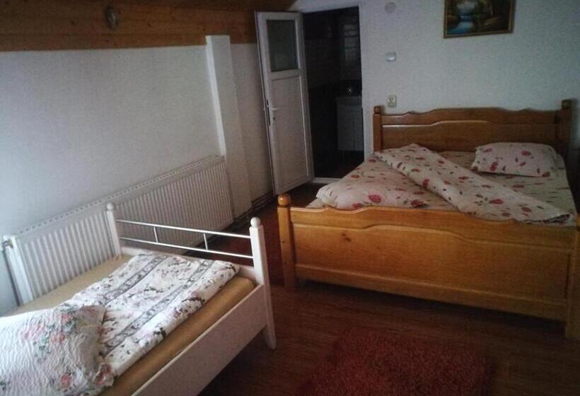 スタンダードトリプルルーム, Pensiunea Remus