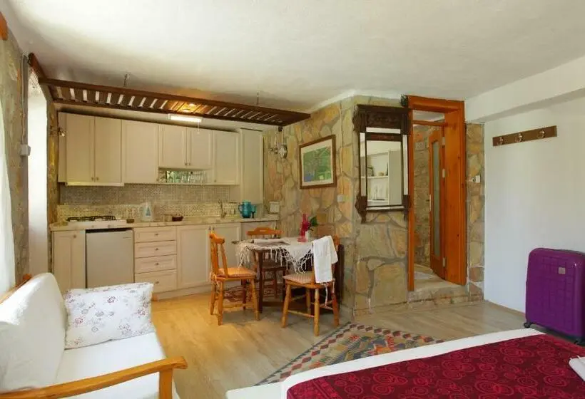 استودیوی استاندارد, Villa Vali