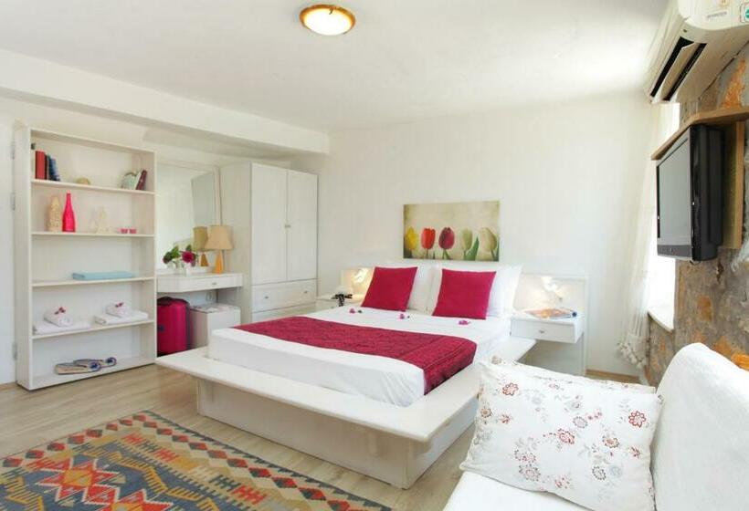 إستوديو قياسى, Villa Vali