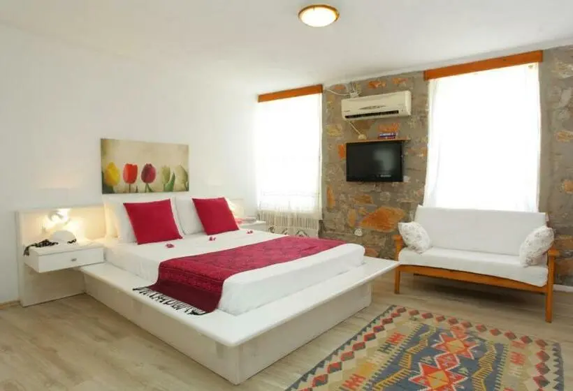 استودیوی استاندارد, Villa Vali