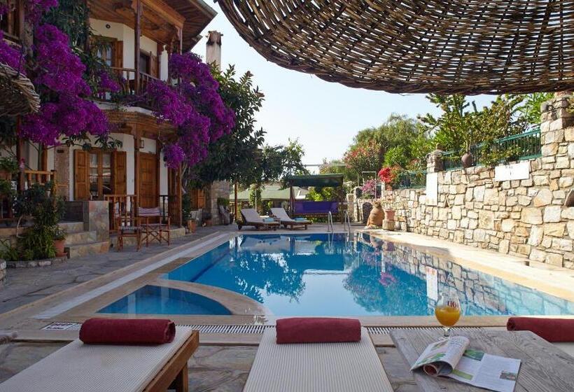 Апартаменты 1 Спальня, Villa Vali