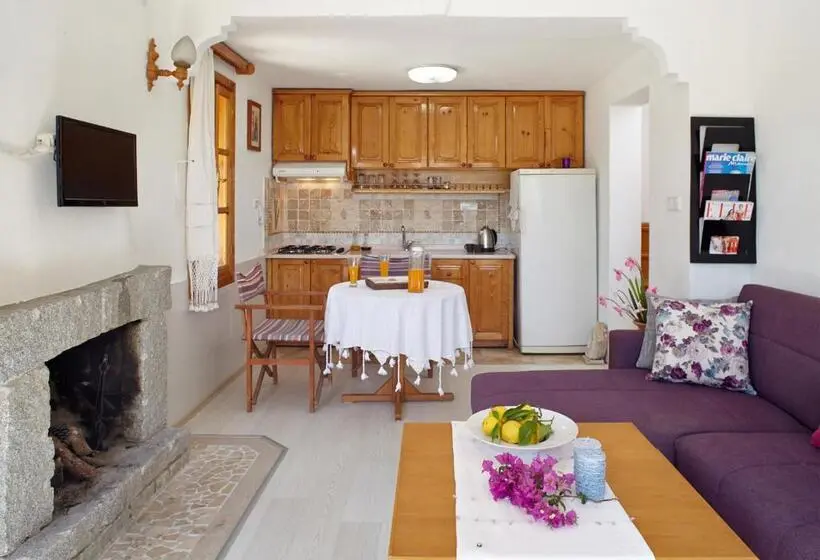 آپارتمان دوبلکس 1 خوابه, Villa Vali