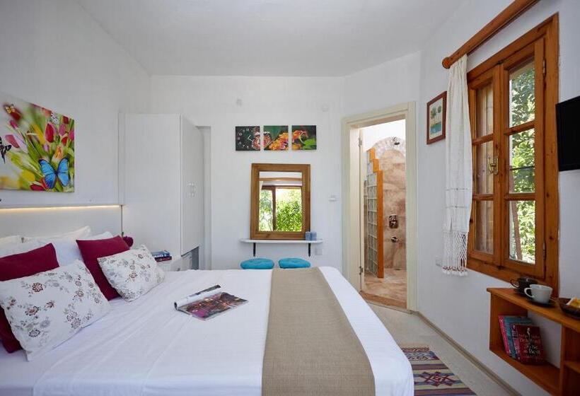 شقة غرفة نوم واحدة مزودة بشُرفة, Villa Vali