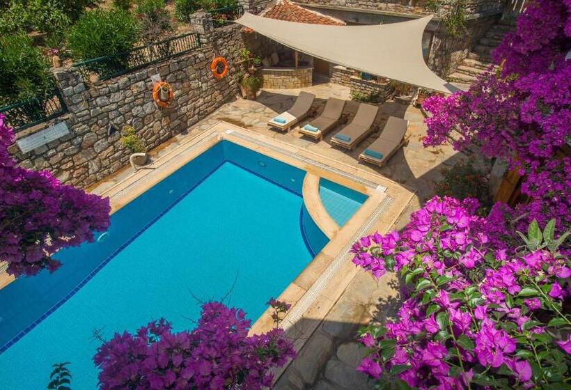 غرفة عائلية مطلّة علي الجبل, Villa Vali