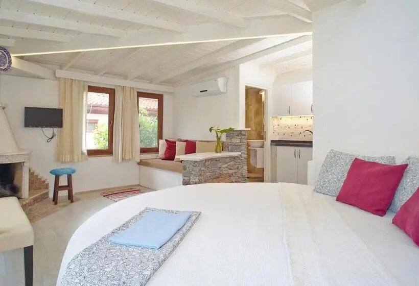 اتاق استاندارد با چشمانداز کوهستان, Villa Vali