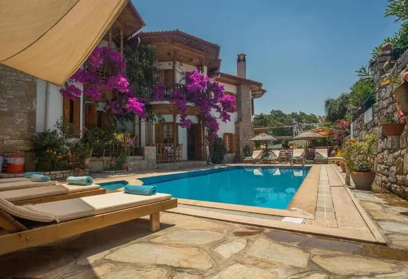 ویلای 3 خوابه, Villa Vali