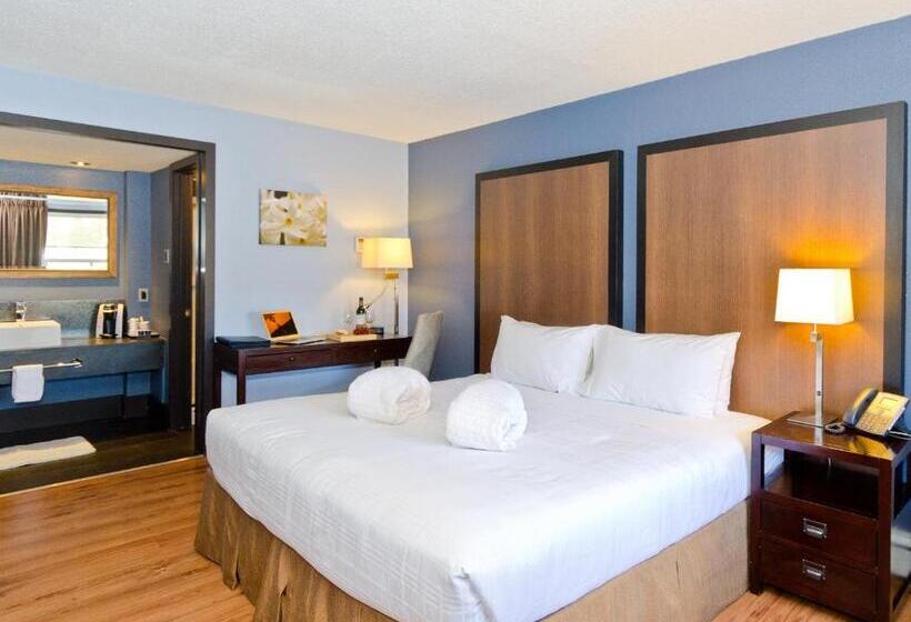 Quarto Estandar Cama King, Centro Motel