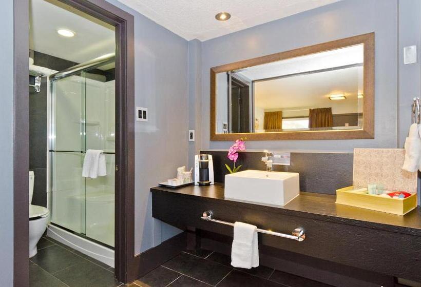 Quarto Estandar Cama King, Centro Motel