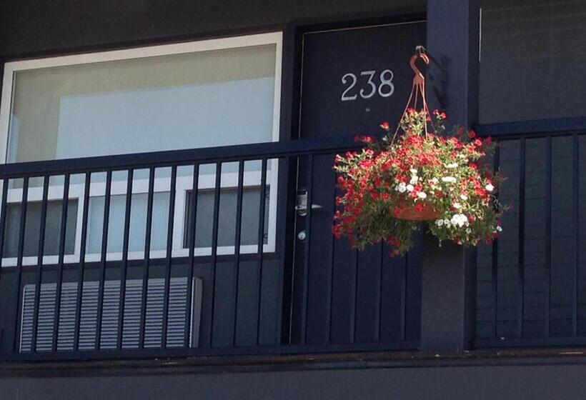 Quarto Estandar Cama King, Centro Motel