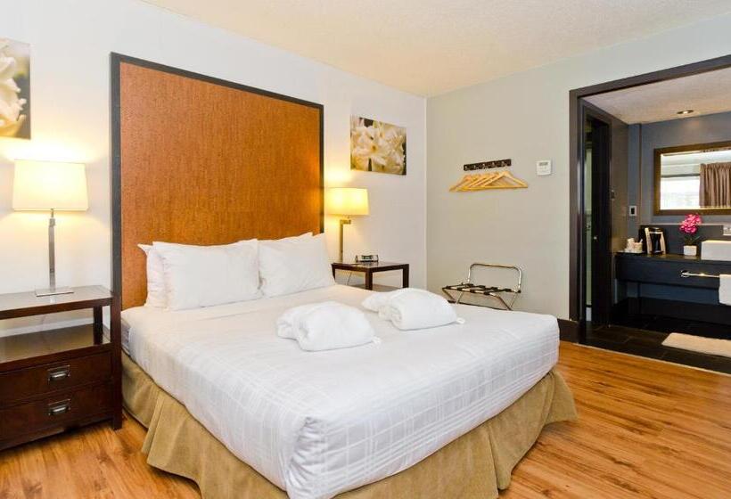 Quarto Estandar, Centro Motel