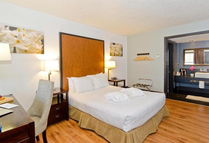 Quarto Estandar, Centro Motel