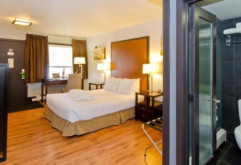 Quarto Estandar, Centro Motel