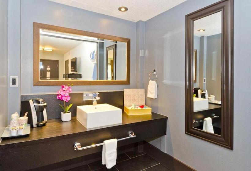 Quarto Estandar, Centro Motel