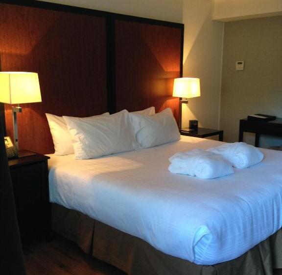 Quarto Estandar, Centro Motel