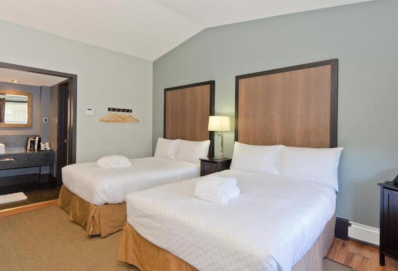 Quarto Estandar 2 Camas Casal, Centro Motel