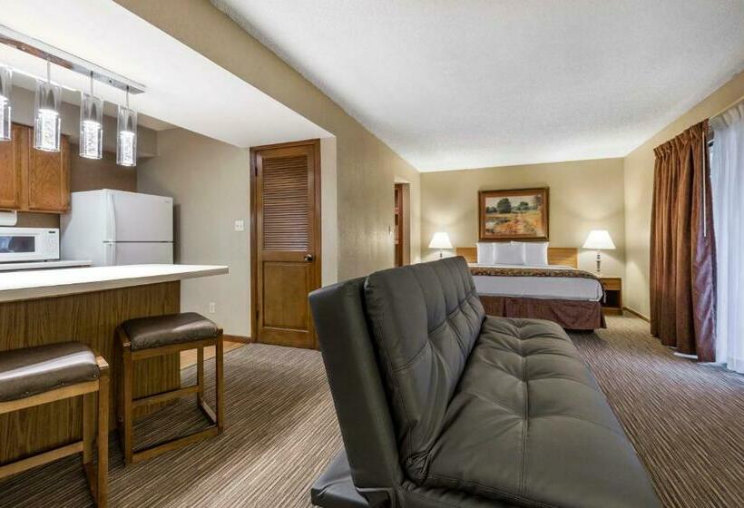 Студио Стандарт Кровать Кинг, Mainstay Suites Springfield South   Battlefield Rd