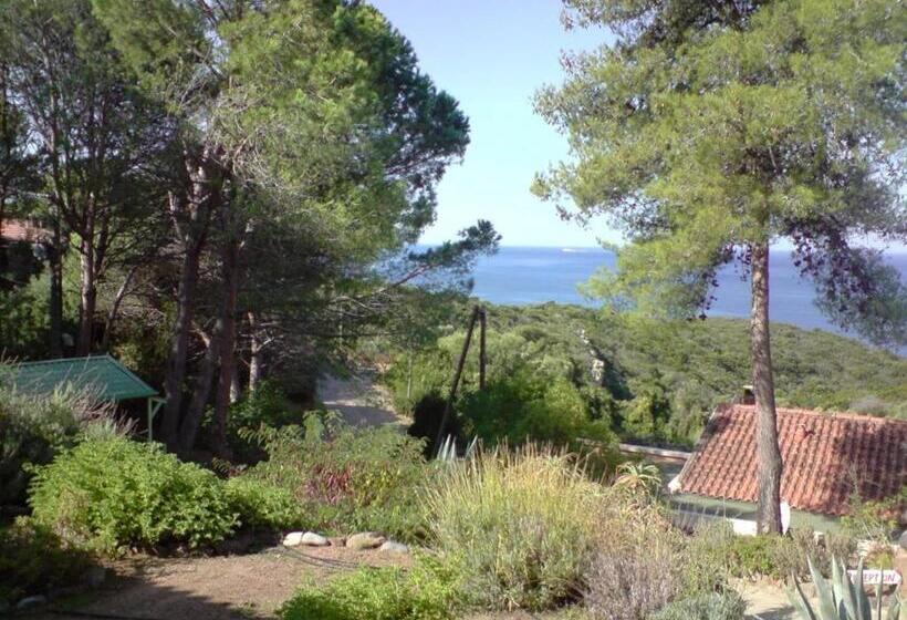 חדר סטנדרט לארבעה נוף לים, Auberge Ferayola