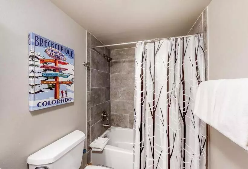 2ベッドルームアパートメント, Breckenridge Ski Hideaway