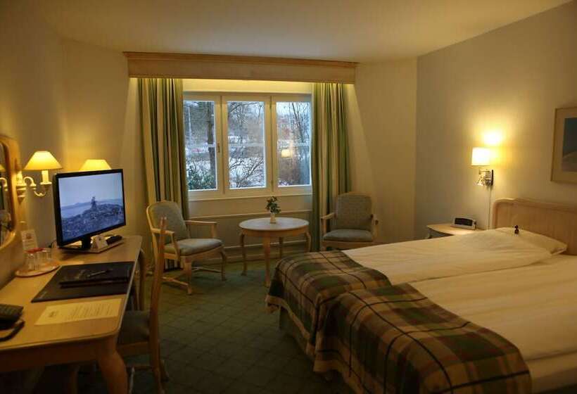 スーペリアールーム, Molndals Bro